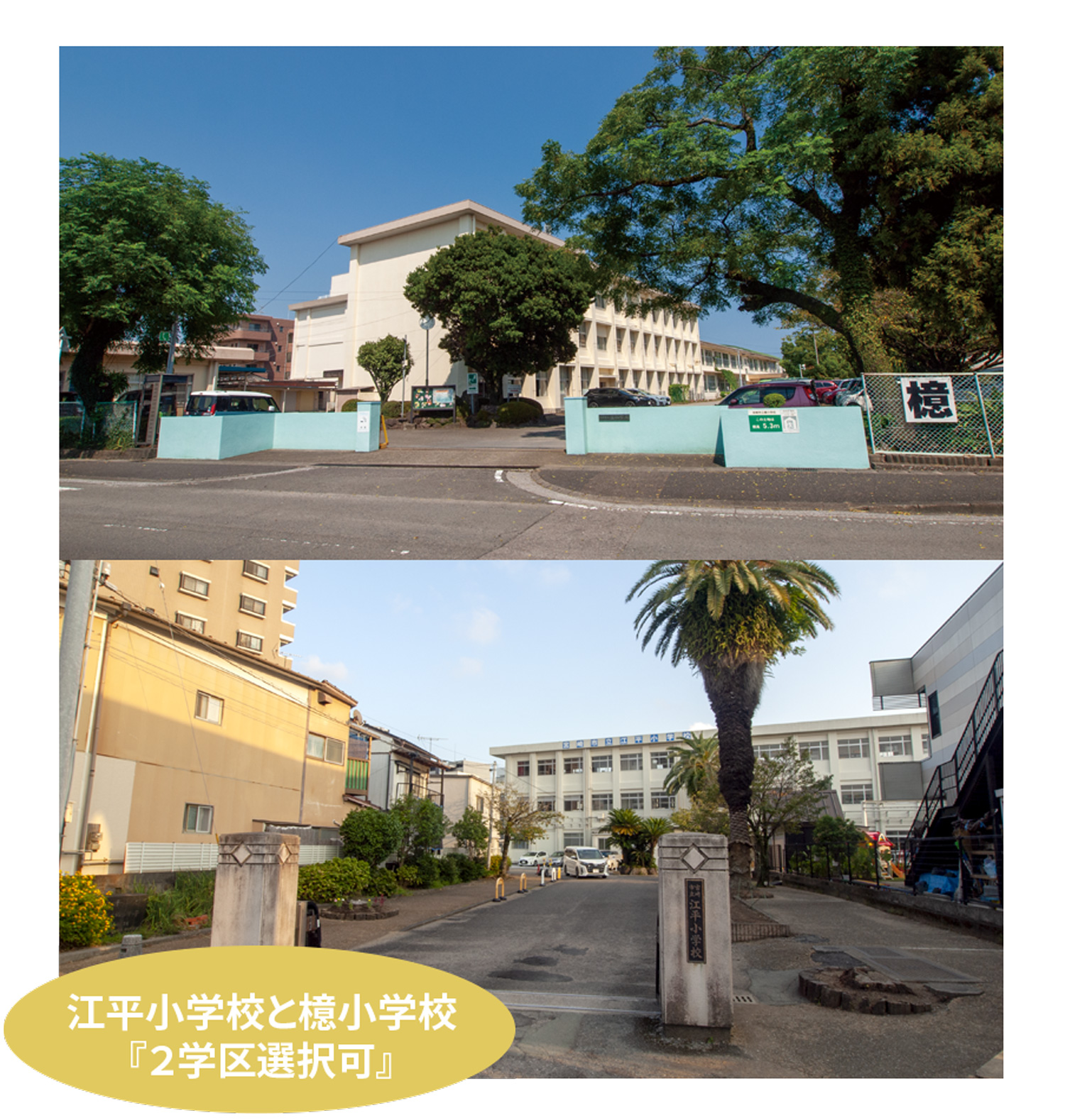 江平小学校と檍小学校『２学区選択可』
